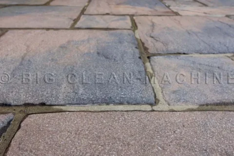 <span class="gradient-text">Black Spot Removal Company</span> Waltham Abbey EN9