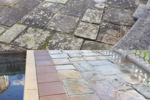 <span class="gradient-text">Black Spot Removal</span> in Waltham Abbey